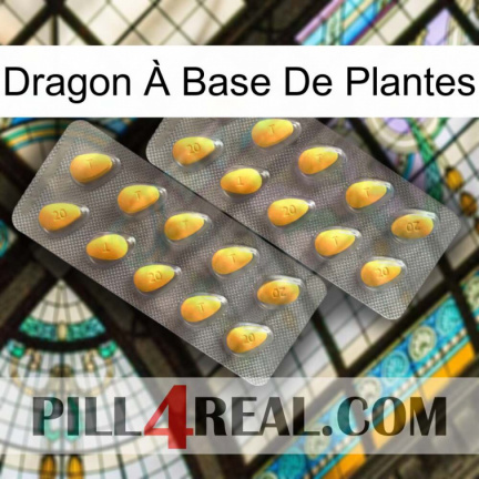 Dragon À Base De Plantes cialis2